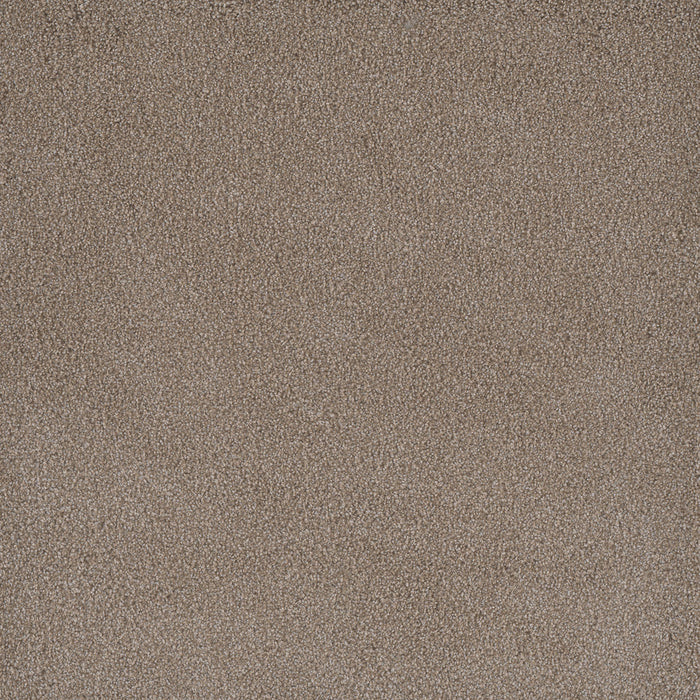 Palmetto III Polyester Marigold 2220 Carpet Textured 1