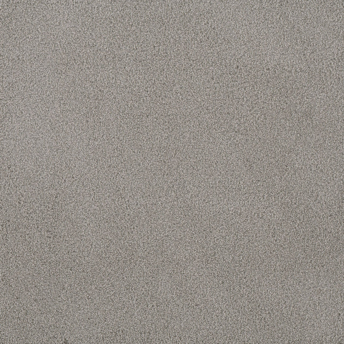 Palmetto I Polyester Cascadia 2224 Carpet Textured 1