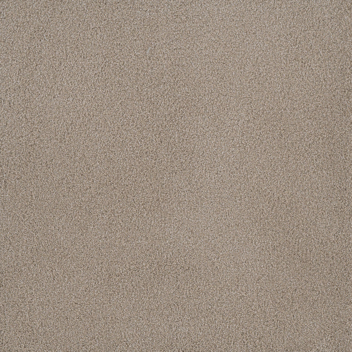 Palmetto II Polyester Sun Washed 2235 Carpet Textured 1