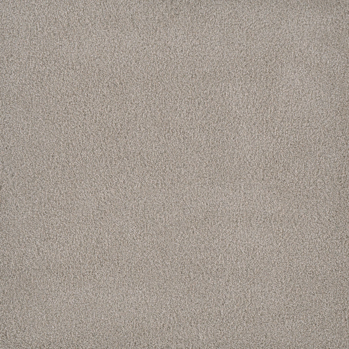 Palmetto I Polyester Gardenia 2266 Carpet Textured 1