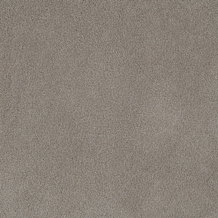 Palmetto III Polyester Havana 2275 Carpet Textured 1