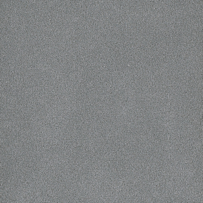 Palmetto II Polyester Skylight 2281 Carpet Textured 1