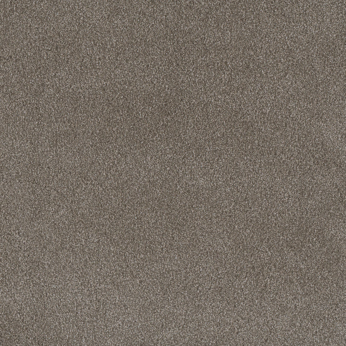 Palmetto I Polyester Vienna 2303 Carpet Textured 1