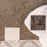 Palmetto III Polyester Tea Time 2189 Carpet Textured 2