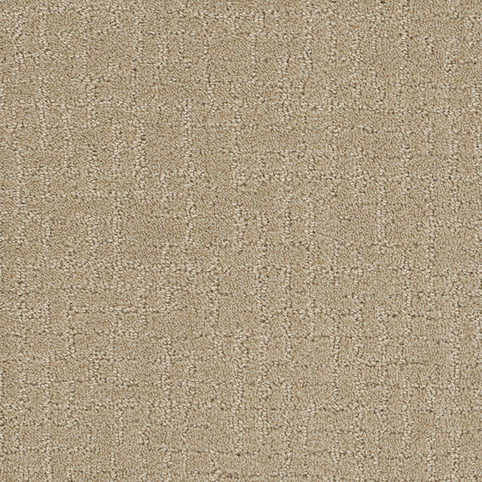 Modern Edge Polyester Soft Pine 6317 Carpet Pattern 1