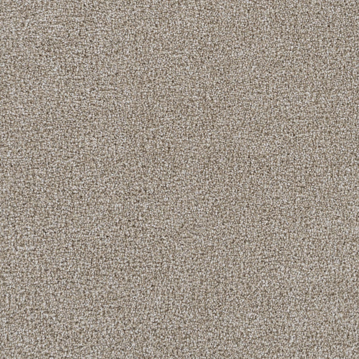 Goosehill Cameo 174 Carpet Textured 1