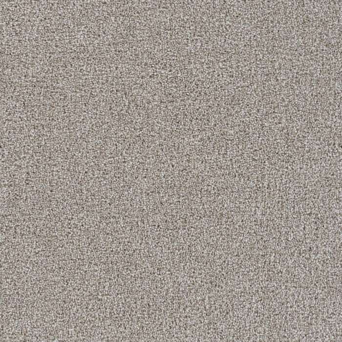 Goosehill Clam Shell 182 Carpet Textured 1