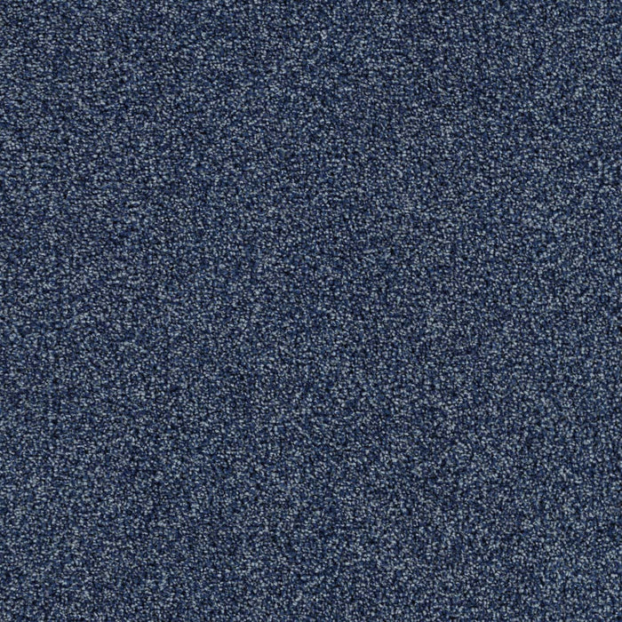 Goosehill Nantucket 2475 Carpet Textured 1