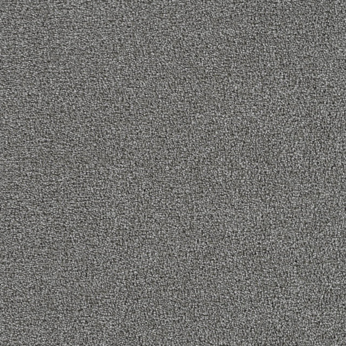 Goosehill Gulfstream 2601 Carpet Textured 1