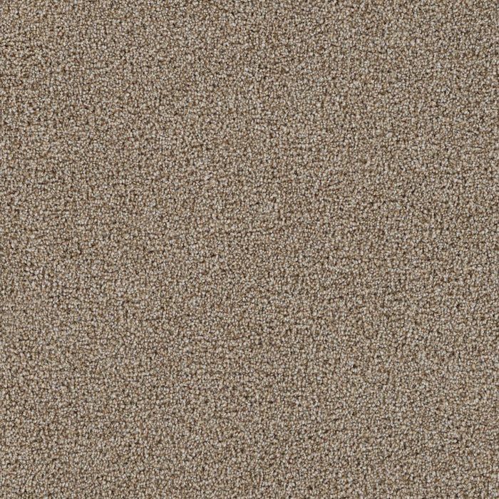 Goosehill Iced Coffee 373 Carpet Textured 1