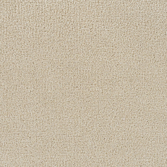 Goosehill Classic Ivory 4193 Carpet Textured 1