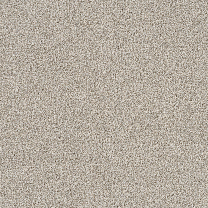 Goosehill Light Bisque 4484 Carpet Textured 1