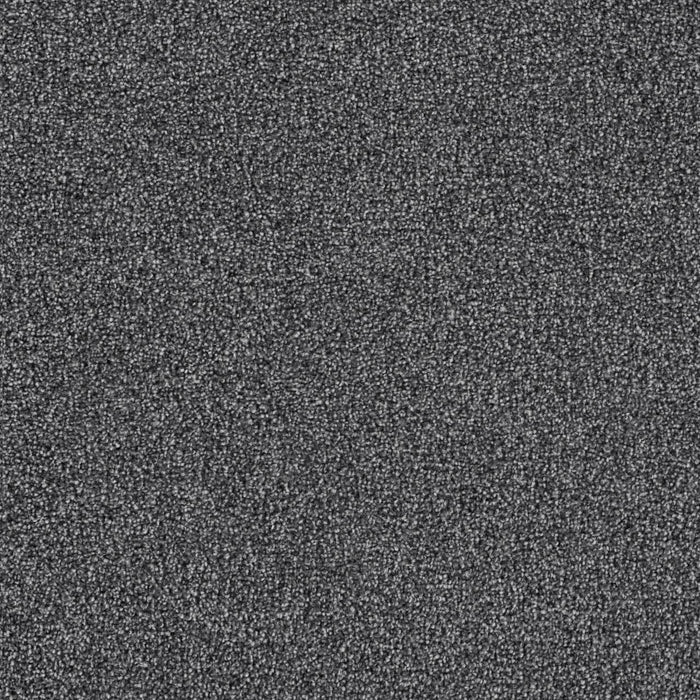 Goosehill Cracked Pepper 4569 Carpet Textured 1