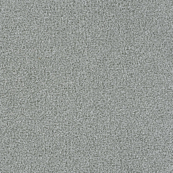 Goosehill Kiwi Cove 4662 Carpet Textured 1