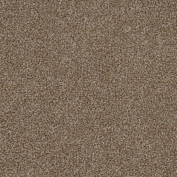Goosehill Warm Stone 5760 Carpet Textured 1