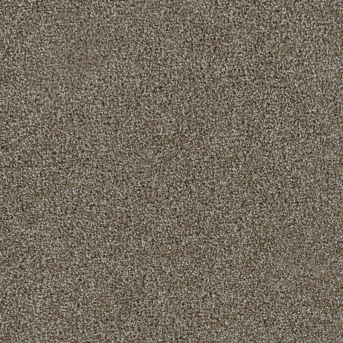 Goosehill Old Harbor 579 Carpet Textured 1