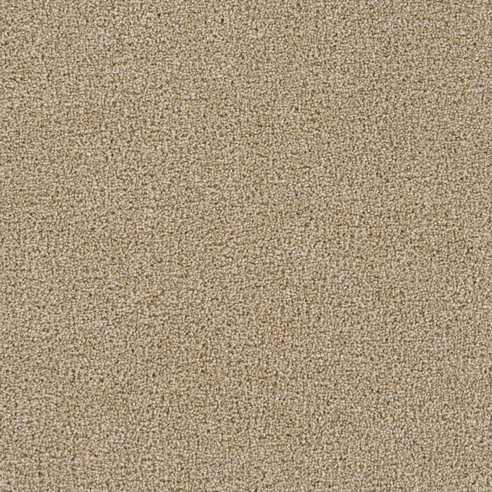 Goosehill Cashmere 580 Carpet Textured 1