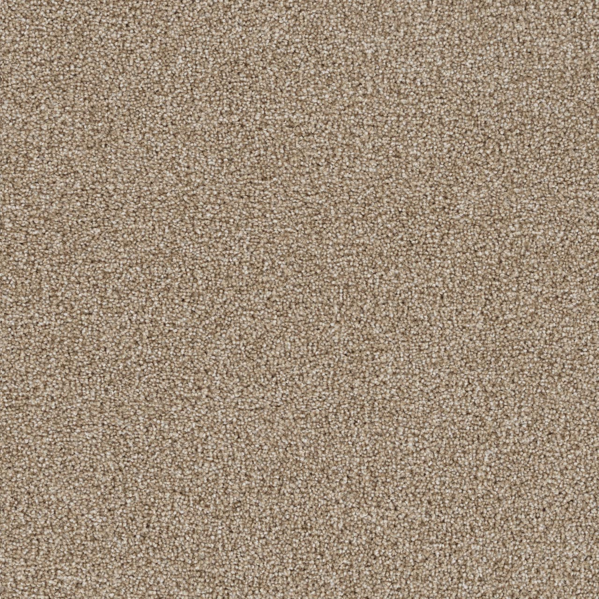 DreamWeaver Goosehill 701 Sawgrass Textured Polyester Carpet