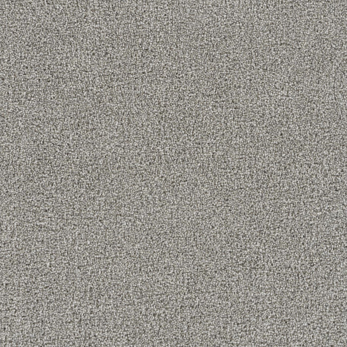 Goosehill Silver Birch 800 Carpet Textured 1