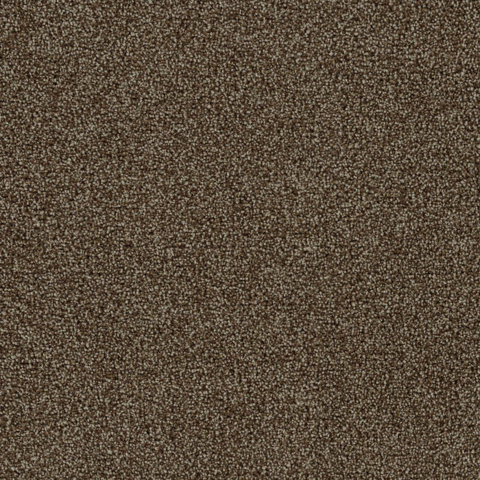 Goosehill Chocolate 812 Carpet Textured 1