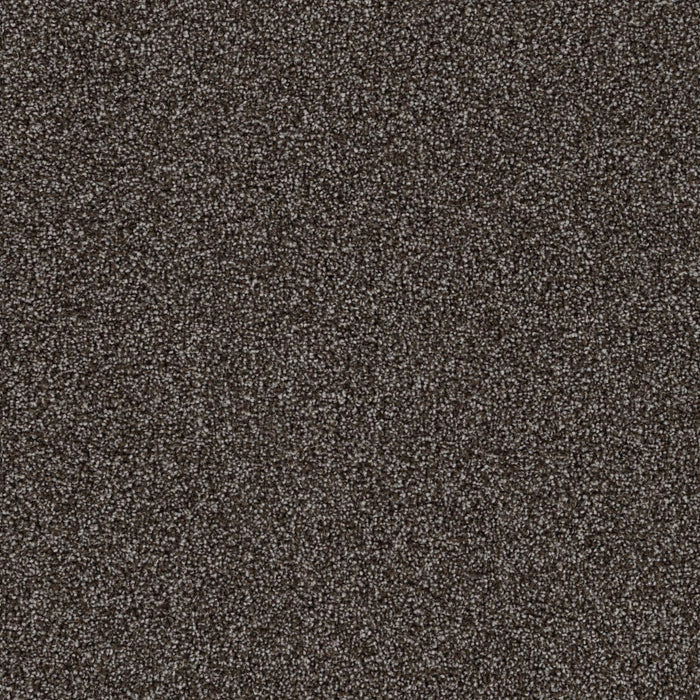 Goosehill Coconut Shell 922 Carpet Textured 1