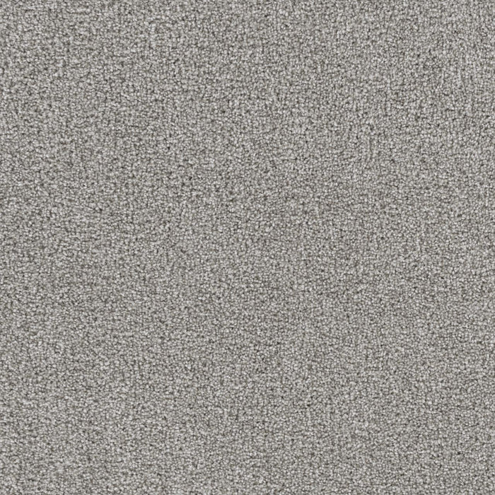 Goosehill Chrome 927 Carpet Textured 1