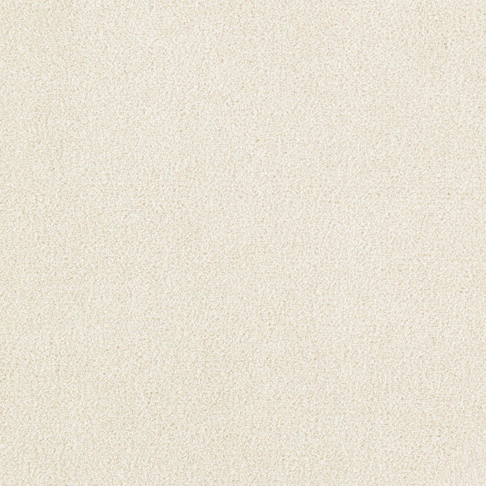 Brilliant Idea Triexta Winter Wind 568 Carpet Textured 1
