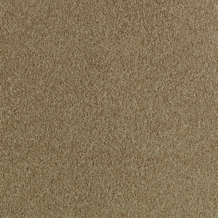 Brilliant Idea Triexta Sparkling Cider 578 Carpet Textured 1