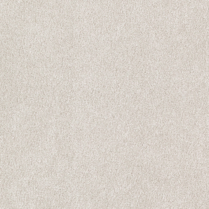 Brilliant Idea Triexta Warm Fog 566 Carpet Textured 1