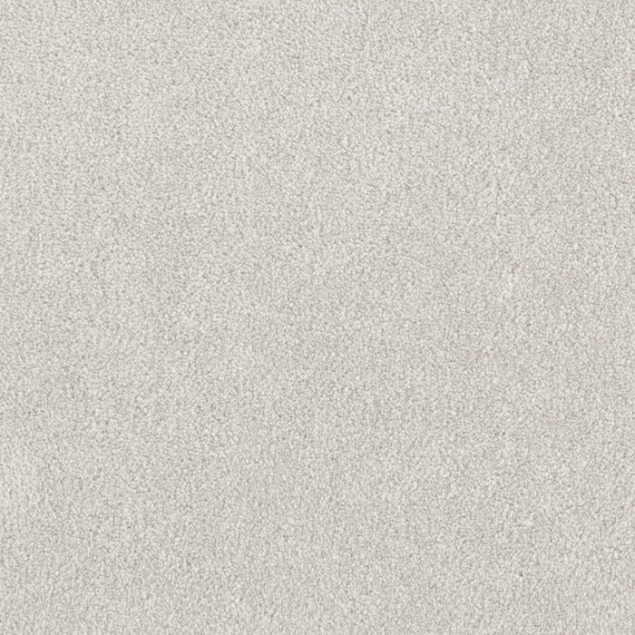 Brilliant Idea Triexta Ice Grey 565 Carpet Textured 1