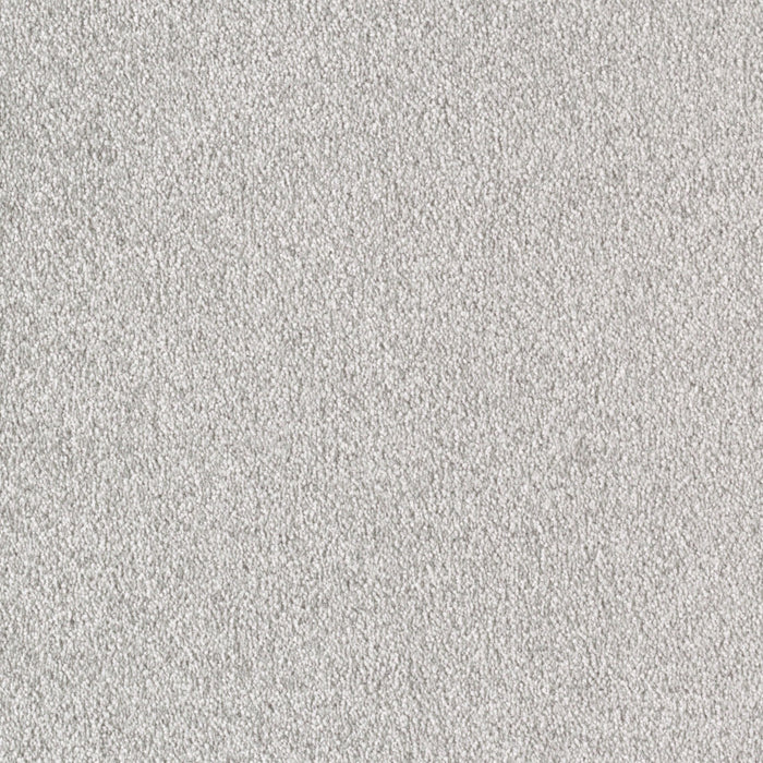 Brilliant Idea Triexta Mindful 570 Carpet Textured 1