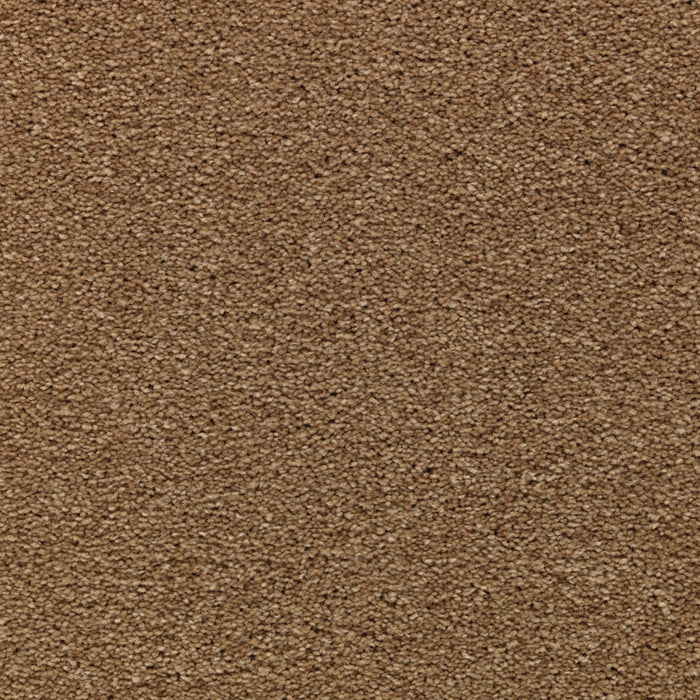 Striking Option Triexta Caramel Ripple 549 Carpet Textured 1