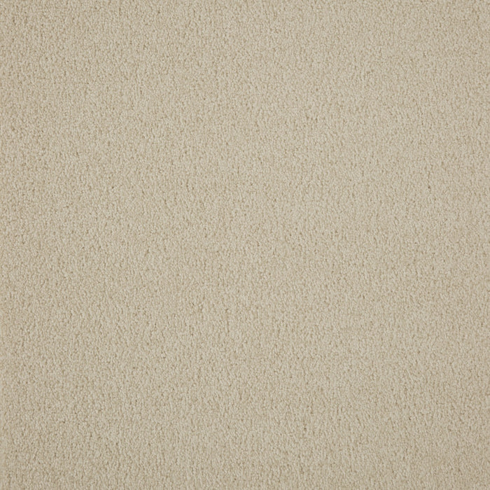 Memorable View Triexta Cloudscape 539 Carpet Textured 1