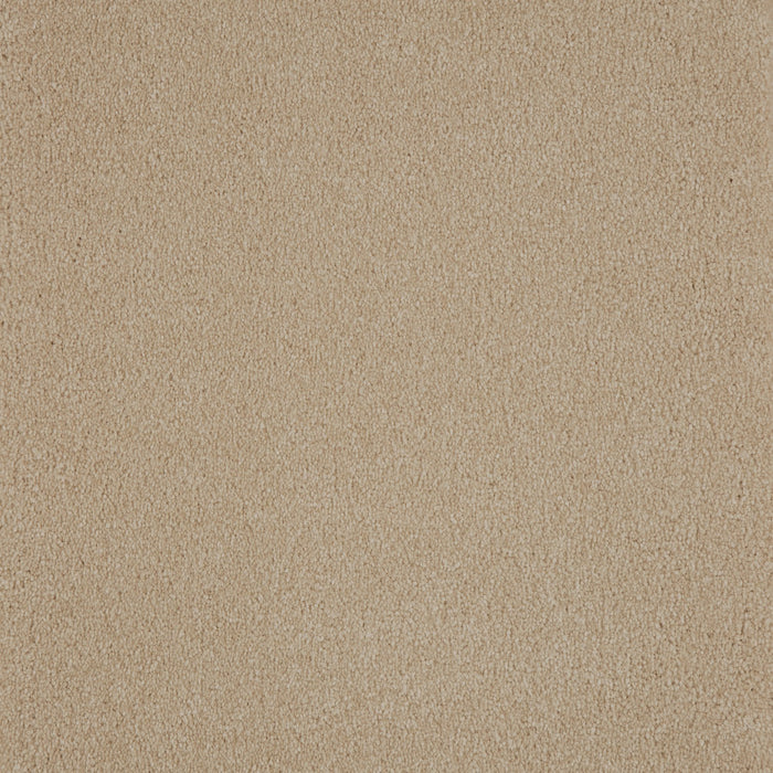 Memorable View Triexta Mission 538 Carpet Textured 1