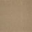 Memorable View Triexta Canyon Shade 550 Carpet Textured 1