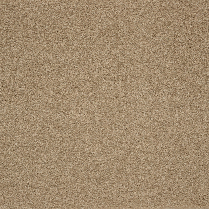 Memorable View Triexta Canyon Shade 550 Carpet Textured 1