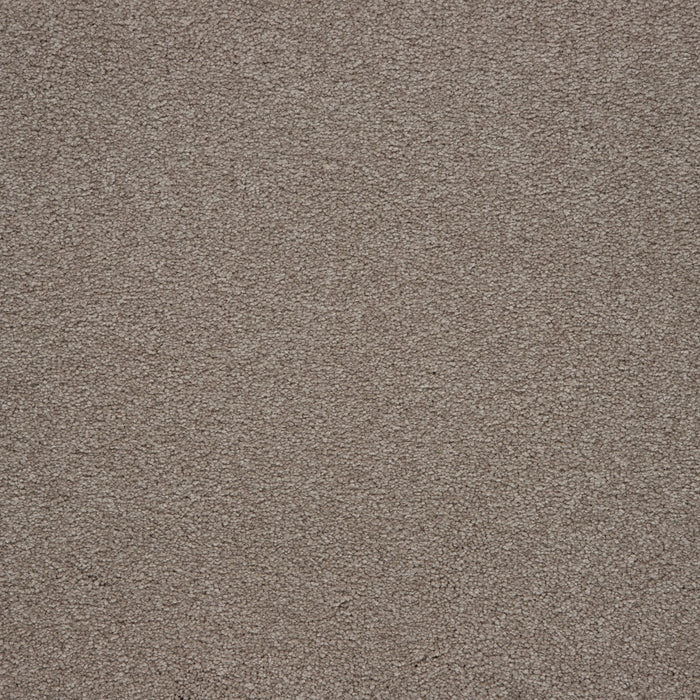 Memorable View Triexta Walnut Frost 535 Carpet Textured 1