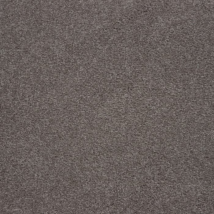 Memorable View Triexta Hearthstone 546 Carpet Textured 1