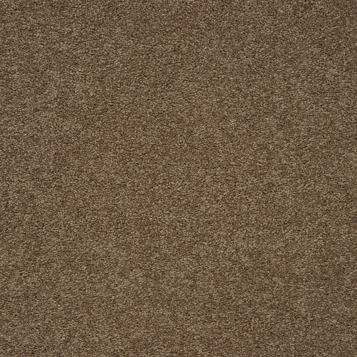 Memorable View Triexta Nouveau 561 Carpet Textured 1