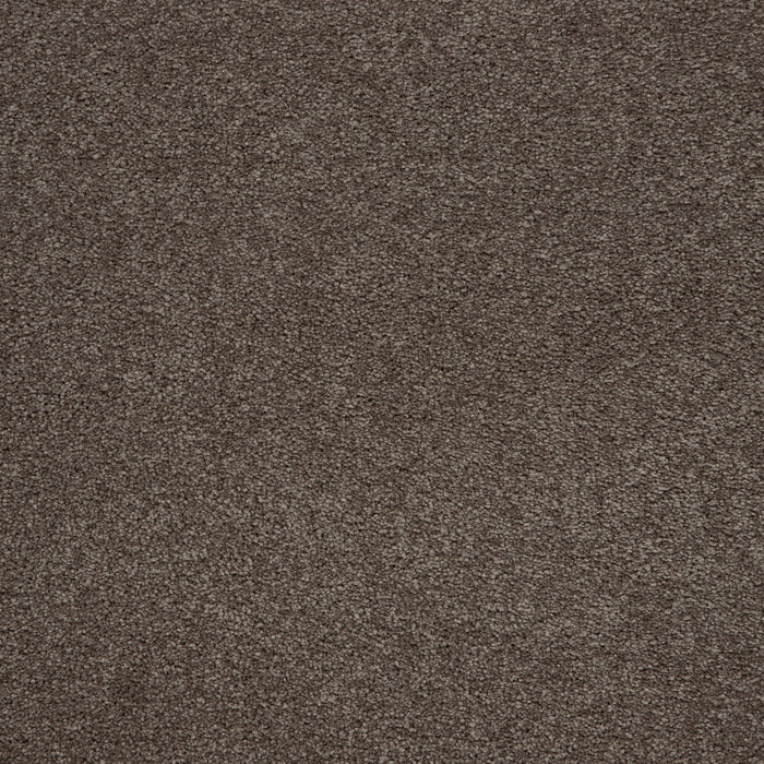 Memorable View Triexta Tudor 559 Carpet Textured 1