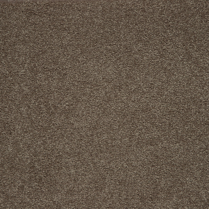 Memorable View Triexta Timberlane 560 Carpet Textured 1