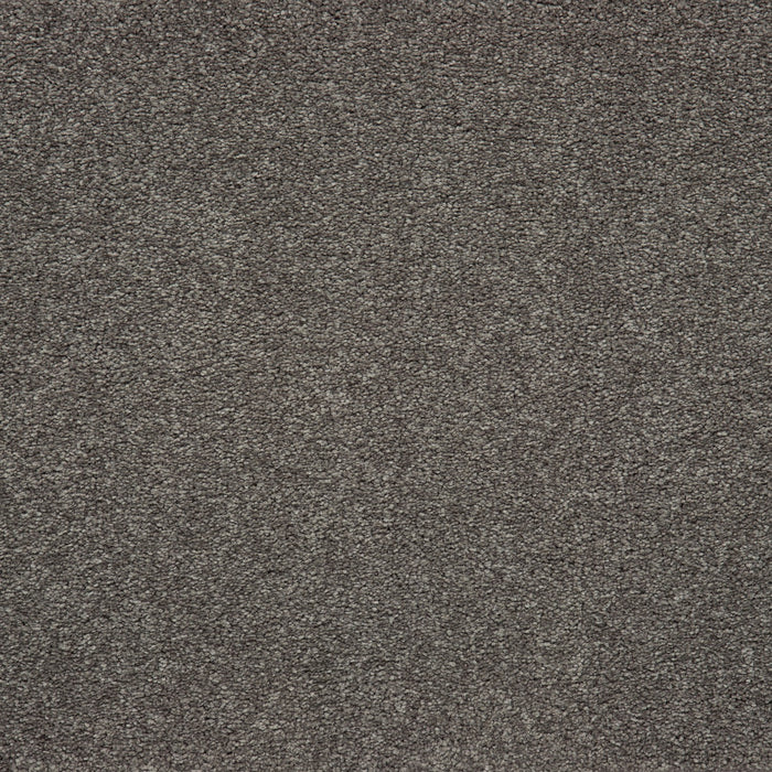 Memorable View Triexta Grandeur 545 Carpet Textured 1