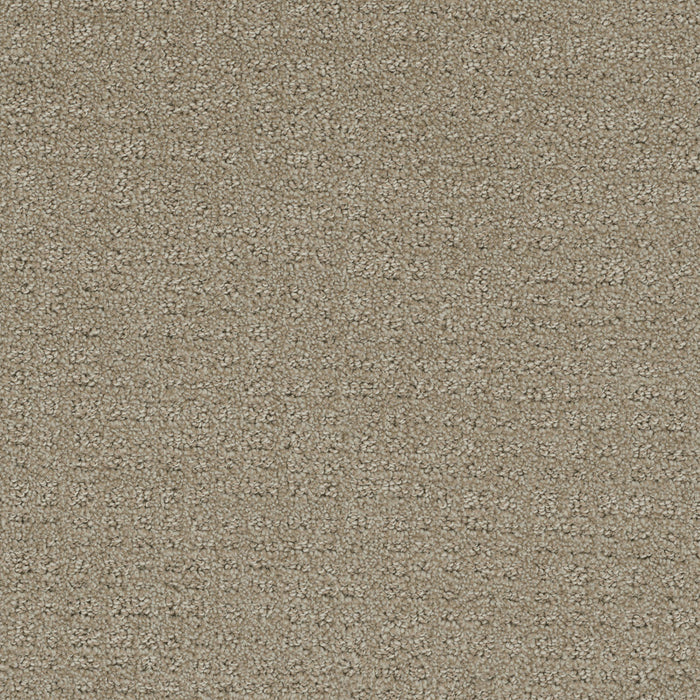 Common Ground Polyester Fieldcrest 6001 Carpet Loop 1