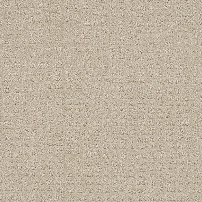 Common Ground Polyester Champagne Fizz 6309 Carpet Loop 1