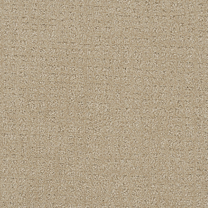 Common Ground Polyester Soft Pine 6317 Carpet Loop 1