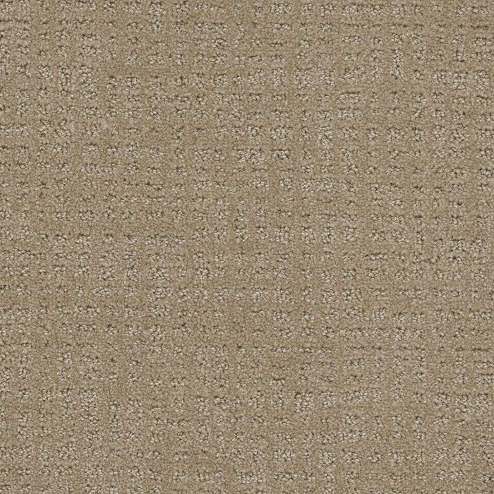 Common Ground Polyester Warm Sand 6339 Carpet Loop 1