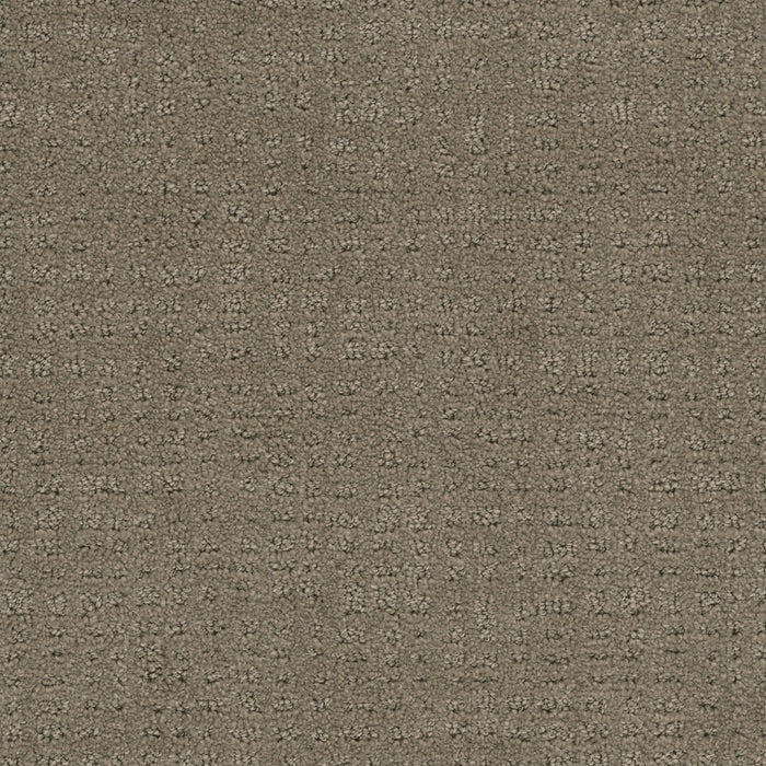 Common Ground Polyester Topaz 6410 Carpet Loop 1