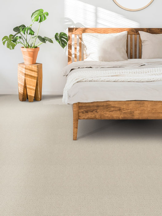 Common Ground Polyester Alabaster 6328 Carpet Loop 2