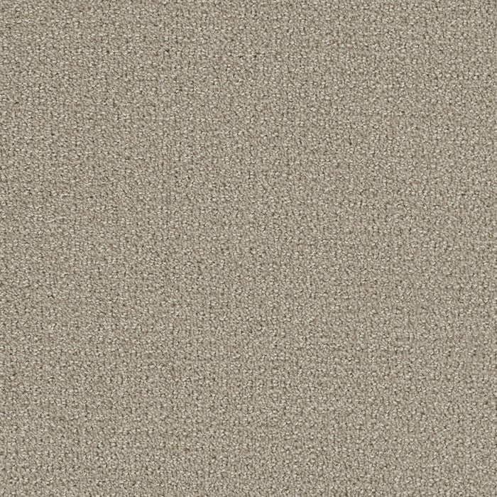 Pinpoint Polyester Moon Mist 6006 Carpet Loop 1