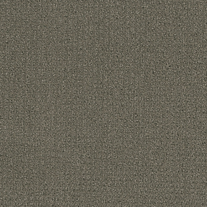 Pinpoint Polyester Ultramarine 6007 Carpet Loop 1